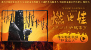 成人日韩精品